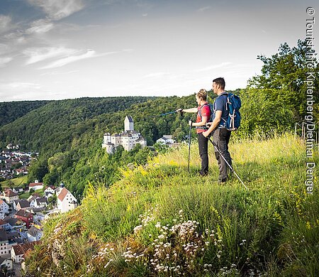 Blick auf Burg Kipfenberg (Kipfenberg, Naturpark Altmühltal)