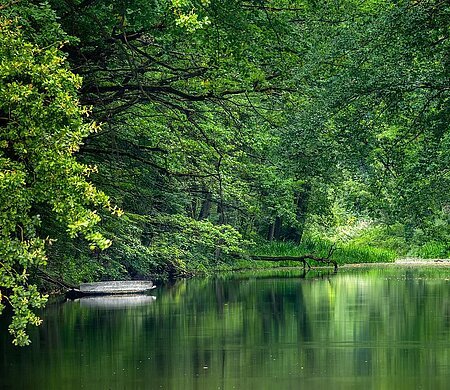 Karlsgraben (Treuchtlingen, Naturpark Altmühltal)