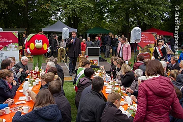 Streuobsttag (Burgbernheim, Romantisches Franken)