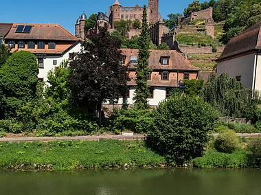 Radler am MainRadweg, im Hintergrund Burg Wertheim (Wertheim/Liebliches Taubertal)