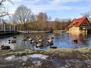 Königshofen (Lauda-Königshofen, Liebliches Taubertal)