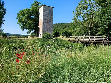 Hungerturm (Walting, Naturpark Altmühltal)