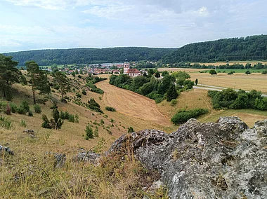 Wacholderheide (Walting-Gungolding, Naturpark Altmühltal)